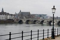 Stadsgezicht vanaf de Maas