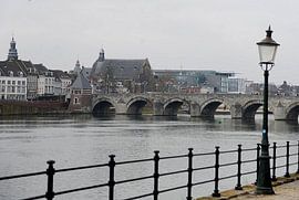 Stadsgezicht vanaf de Maas van Hans van Eijsden