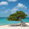 Panorama Caribbean Sea - Aruba by Ellis Peeters