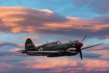Curtiss P-40 Warhawk van Brian Morgan