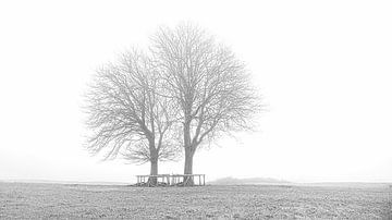 Bomen in Lentevreugd zwart/wit van Wim van Beelen