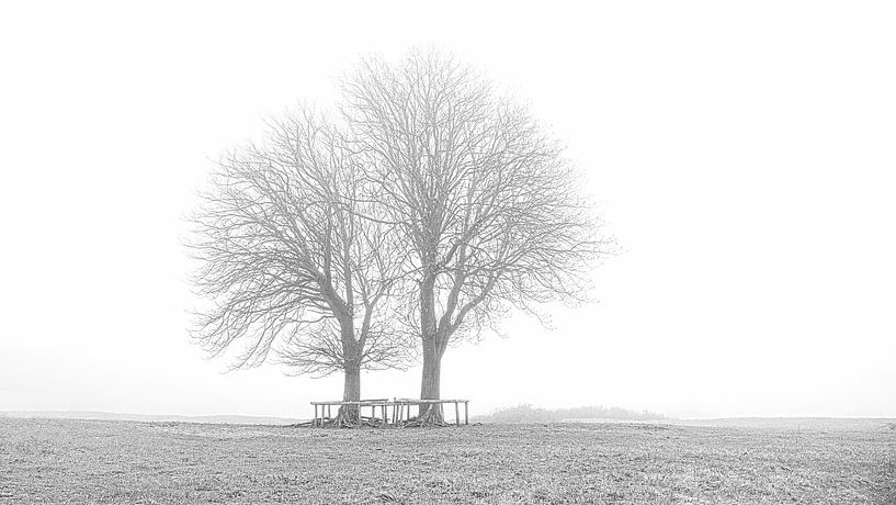 Bomen in Lentevreugd zwart/wit van Wim van Beelen
