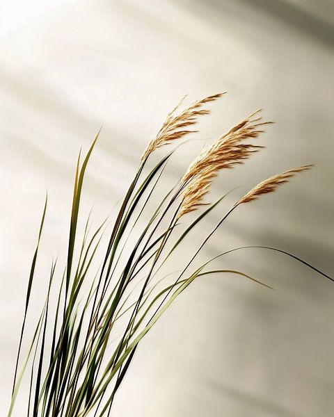Zwischen den Welten von fernlichtsicht