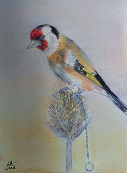 Free goldfinch by Will Rouwen