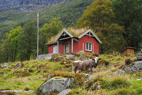 De spectaculaire natuur van Noorwegen - bergen, fjorden en meren in indrukwekkende fotografie.