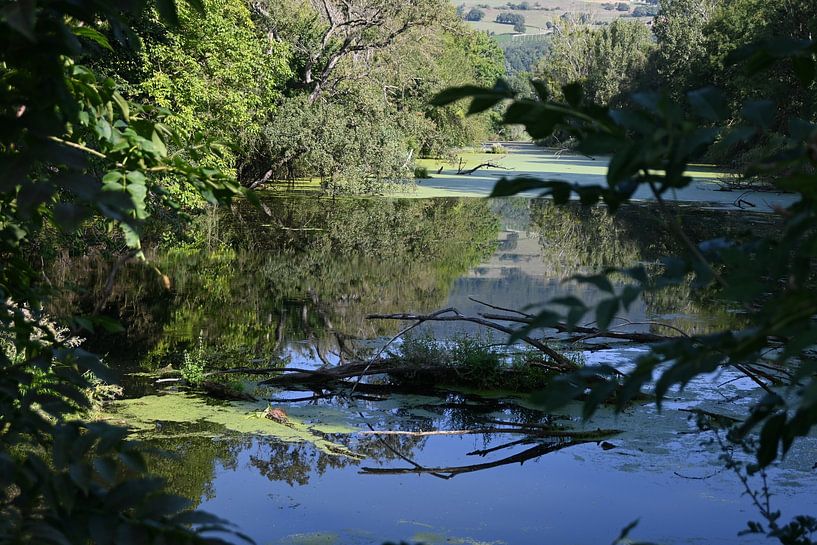 Wasserlandschaft von Christoph Leimer