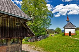 Landleben von Jürgen Wiesler