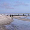 Beach walk with dog on the Baltic Sea by Babetts Bildergalerie