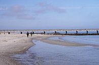 Strandspaziergang mit Hund an der Ostsee von Babetts Bildergalerie Miniaturansicht
