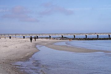 Strandspaziergang mit Hund an der Ostsee von Babetts Bildergalerie