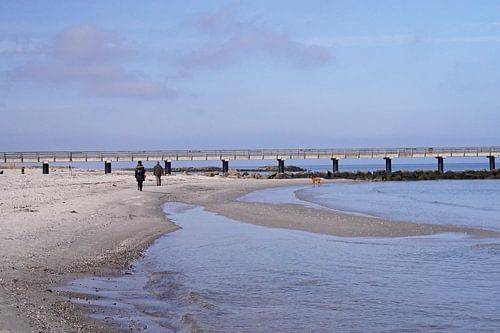 Strandwandeling met hond aan de Oostzee