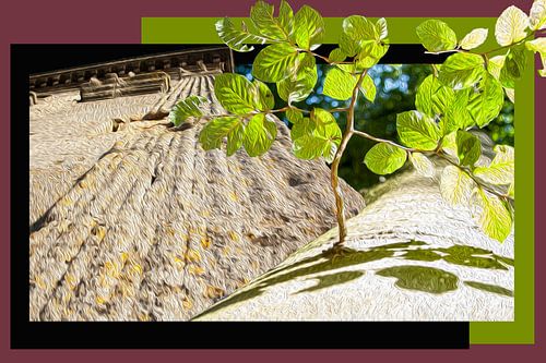 Eeuwenoude boom naast een eeuwenoude zuil