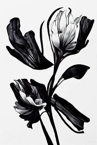 Black Flower von Treechild