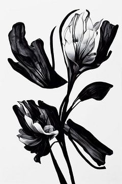 Black Flower by treechild .