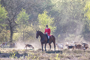 NK Jachtpaarden 2019