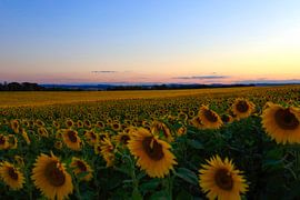 Sommerlandschaft von Thomas Jäger