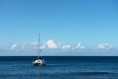 Catamaran at sea