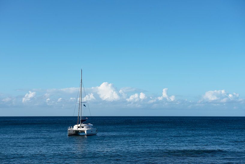 Catamaran at sea by Margot van den Berg
