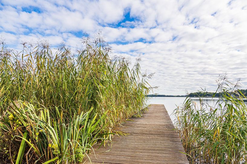 Footbridge and reeds on Krakow Lake in the town of Krakow by the lake by Rico Ködder