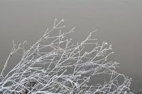 Frozen waterfront
