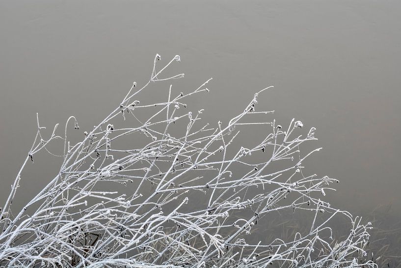 Frozen waterfront by Dorien van Witteveen