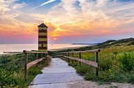 Cape Dunes Low by Thom Brouwer thumbnail