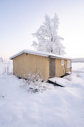 Magical winter landscape with abandoned barn
