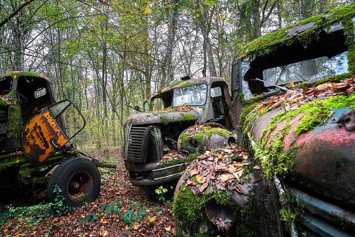 Curieuses épaves de camions. sur Roman Robroek - Photos de bâtiments abandonnés