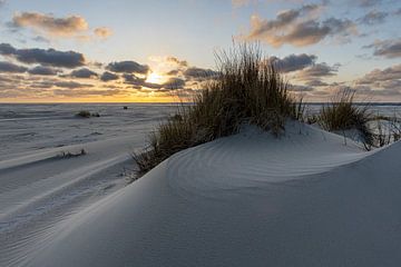 Duinen Ameland van Marco Linssen