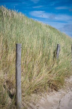 Hollandse duinen van Eigenwijze Fotografie