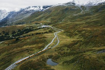 Trein vertrekt vanaf Kleine Scheidegg van Marleen Kuijpers