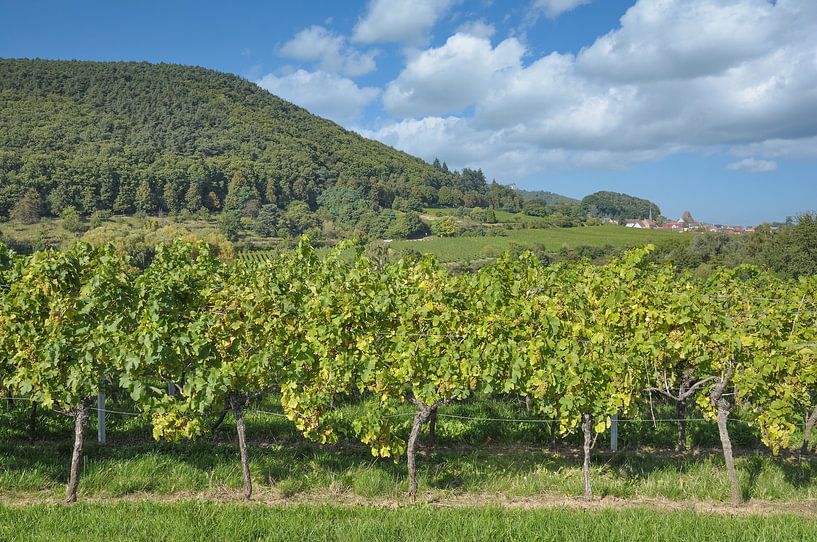 Weinlandschaft bei Gleisweiler in der Pfalz von Peter Eckert