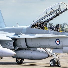 Royal Australian Air Force McDonnell Douglas F/A-18B Hornet. von Jaap van den Berg