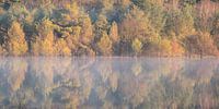 Herfstkleuren weerspiegeld in het water