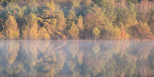 Autumn colours reflected in the water