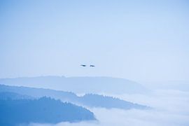 Above the fog by Studio  Milaan