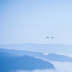 Above the fog van Studio  Milaan