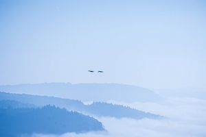 Au-dessus du brouillard sur Studio  Milaan