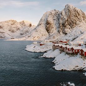 L'hiver à Hamnøy. Maisons de pêcheurs rouges dans les îles Lofoten, Norvège sur Marion Stoffels