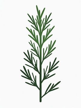 Brin de romarin sur Giandra Safaraz