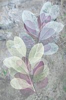 Abstrakte Kunst, Druck von Herbstblättern auf 'Grungy' Hintergrund