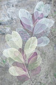 Art abstrait, impression de feuilles d'automne sur fond grunge sur Behindthegray