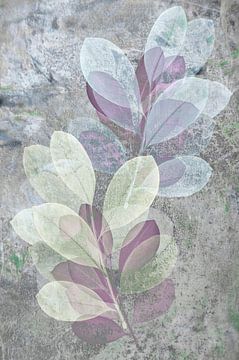Abstracte Kunst, Afdruk van Herfst Bladeren op 'Grungy' Achtergrond van Behindthegray