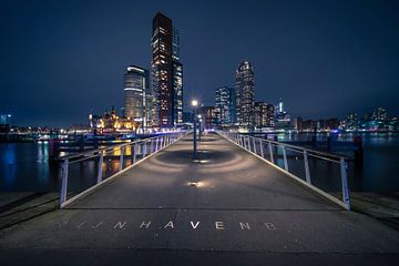 Rijnhaven bridge ( hornswoggle) Katendrecht, Rotterdam by Anton Osinga