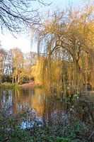 Un étang aux couleurs de l'automne