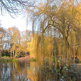 Vijver in herfstkleuren van Detlef Georgi