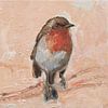 Rouge-gorge familier