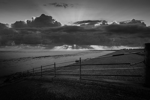 Vogelrastplatz am Wattenmeer