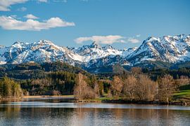 Allgäuer Seenblick auf die Alpen von Leo Schindzielorz