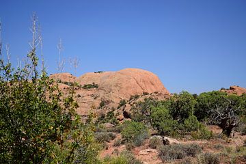 Walfisch-Felsen von Frank's Awesome Travels